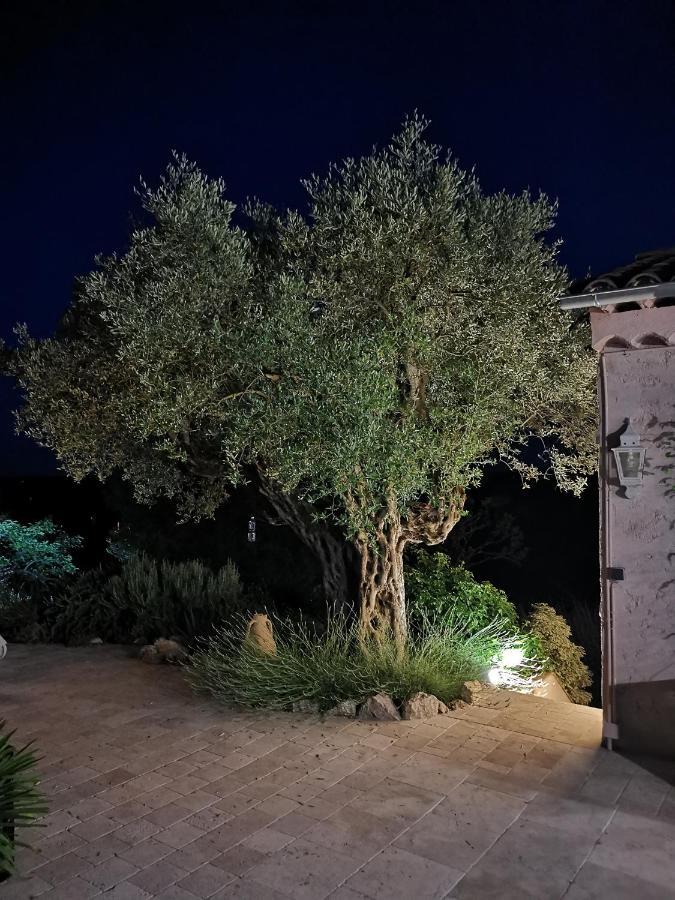 Le Nid Des Arts Bed & Breakfast Tourrettes Dış mekan fotoğraf